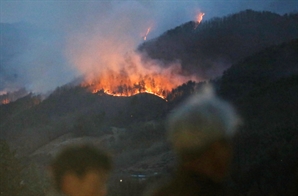경남 산청·하동 산불 피해 신고액 116억 원 넘어