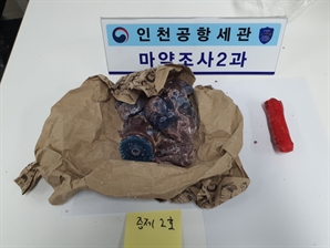 사람 무는 ‘좀비마약’ 밀수입한 카자흐스탄 조직 적발