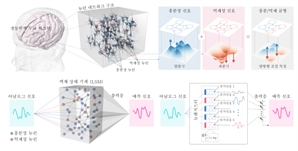 뇌처럼 시간에 따라 변하는 정보 처리…뉴랜지스터 개발