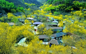 산림청, 침체된 산촌에 활력 불어넣는다