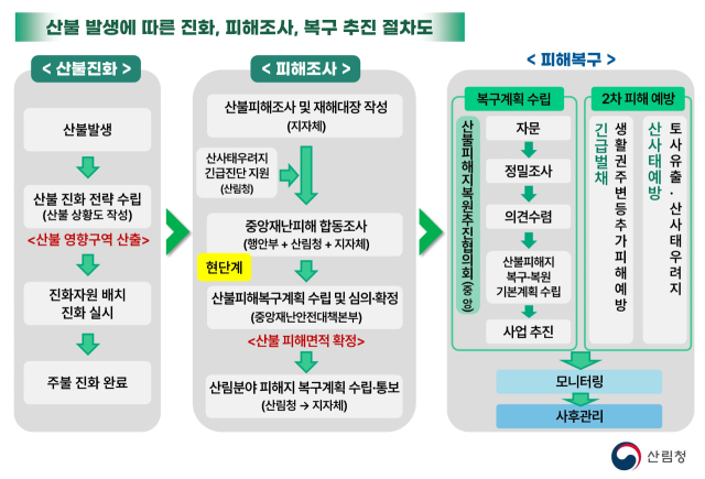 산불피해 발생에 따른 진화, 피해조사, 복구 추진 절차도. 사진제공=산림청