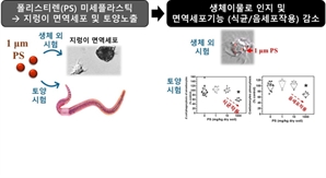 미세플라스틱 범벅 토양…지렁이 면역력 뚝 떨어뜨린다