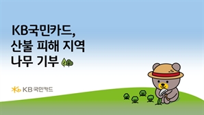 KB국민카드, 산불 피해지역 복구 위해 묘목 2만 그루 기부