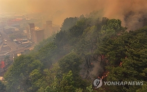 대구 노곡동 산불…경부고속도로 북대구IC 양방향 차단