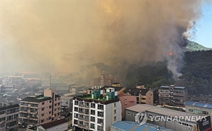소방동원령에 대응 3단계까지…대구 산불 계속 확산
