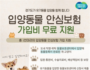 유기동물 입양자 불안감·부담 줄인다…경기도, 입양동물 보험 가입 지원