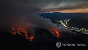 대구 산불 진화율 80％ 넘어서…오전중 주불 진화 목표