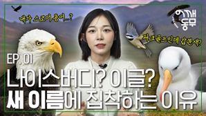 파크골프 스코어, 왜 새 이름을 쓸까?