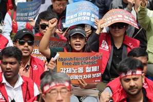 비닐하우스서 숨진 ‘속헹’ 5년 지나도…폭행에 떠는 이주노동자