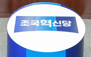 조국혁신당 내부서 10개월간 '성추행'…당직자, 상급자 고소