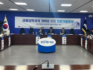 “예산조직 독립 전제로 금융 산업·감독 분리해야”