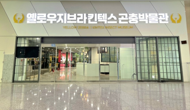 킨텍스 곤충 박물관 '옐로우지브라'. 사진 제공=킨텍스