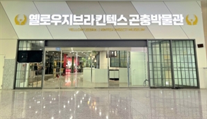 해설부터 관찰·체험까지…킨텍스. 곤충박물관 '옐로우지브라' 5일 개관