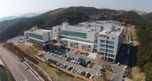 울산시, ‘보행자 충돌안전’ 시험 분석 지원