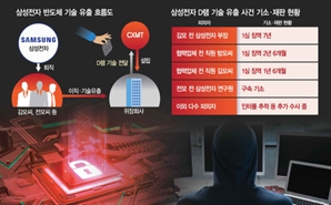 '체포땐 대화방에 ♡'…29억 받고 CXMT 위장회사 취업한 삼성 직원