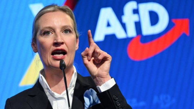 독일 정부, AfD ‘반헌법적 극우 단체’로 공식 지정