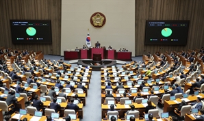 개헌의 전제조건 ‘국민투표법’[법안 돋보기]