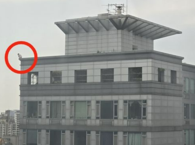 연합뉴스
