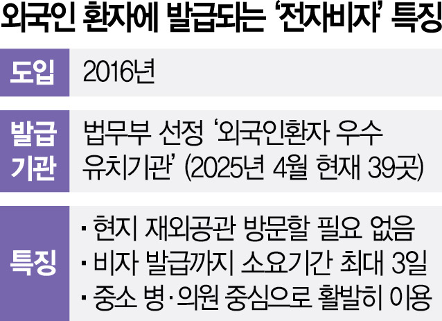 비자발급에 '2~3주→3일'… 외국인환자 유치 '전자비자'도 한몫