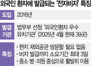 비자발급에 '2~3주→3일'… 외국인환자 유치 '전자비자'도 한몫