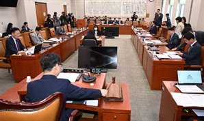 ‘대통령 당선시 재판 중지’ 형소법 개정안, 법사위 소위 통과