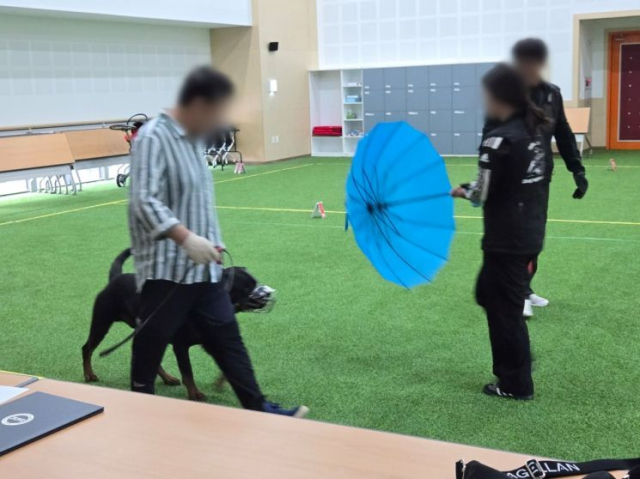 맹견 사육허가제 시행. 사진 제공=경기도