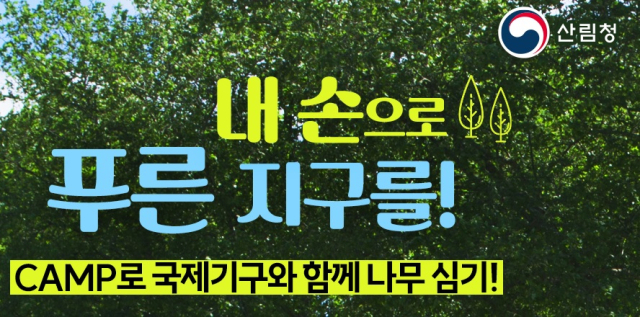 산림청과 아시아산림협력기구는 산림복원플랫폼(CAMP)을 공동 개발하고 시범 운영을 시작한다. 사진제공=산림청