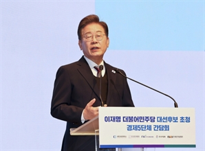 이재명 "미국과의 관세 협상, 서두르지 않는 게 중요"