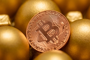 금 제친 비트코인 ETF…기관, 9조 몰아 담았다
