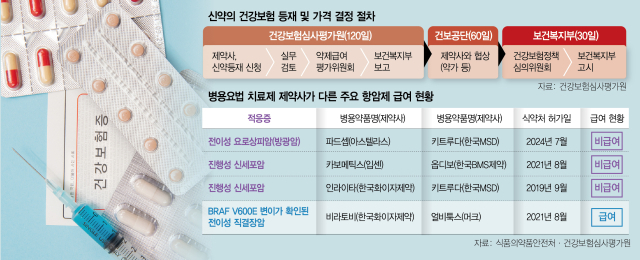 [단독] "10년간 건보적용 1건뿐"…항암신약 병용 '그림의 떡'