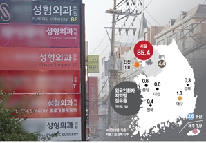 의료관광도 '지방소멸'… 외국인환자 비중 수도권 91.6%-지방 8.4% [의료관광 2조 시대]