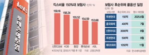 보험사 후순위채 줄줄이 만기…“과도한 자본규제가 혼란키운다”