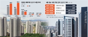 전세 낀 매물 거래 불가에…다시 랠리 시작한 강남