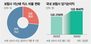 순익 늘었는데 자본비율 하락…“가파른 규제강화에 보험사 고사”