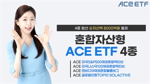 변동 장세에 분산 투자 인기…한투운용 혼합자산 ETF 4종, 1년새 순자산 300% '쑥'