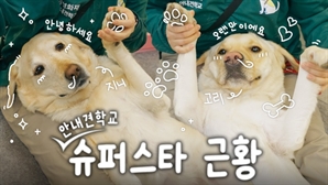삼성화재, 공식 유튜브 채널 1년 만에 구독자 10배 급증