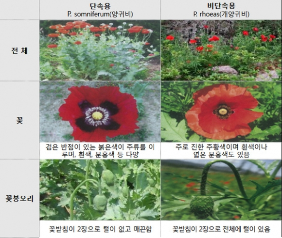 자료 제공=경찰청