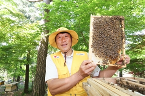 LG, 멸종위기 토종 꿀벌 400만마리 키운다…양봉 피해 농가도 지원