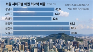 "DSR 3단계에도 강남 3구 강보합…노도강·경기는 타격"[집슐랭]