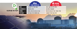 李 "햇빛연금"·金 "원전 60%"…발전원 쏠리면 스페인식 '대정전'