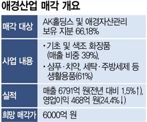 애경산업, 다음달 19일 예비입찰 마감…매각 흥행할 듯[시그널]
