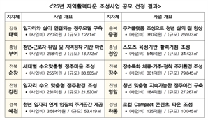 태백·증평·부여 등 10곳에 '지역활력타운' 조성된다