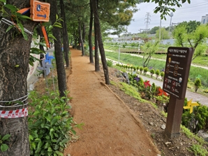 시흥천 제방에 맨발 황톳길 조성