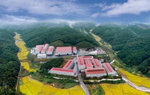 대창솔루션 "조선 특수소재 등 하반기 수주증가…실적 개선 본격화"