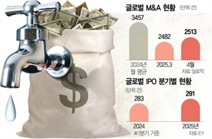 수십조 '메가 딜'도 불씨 못 살려… 관세벽에 '돈 줄'도 막혔다
