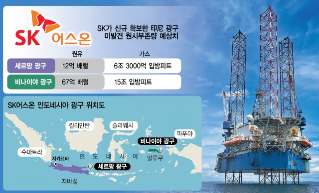 SK어스온, 동남아 3대 산유국 진출 성공…인니 2개 광구도 원유 나올까 [biz-플러스]