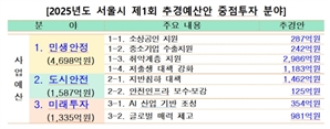 서울시, 1462억 추가 투입해 '싱크홀' 막는다