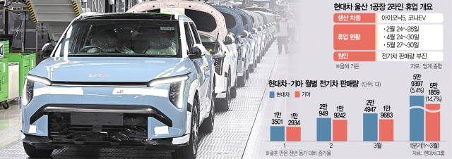 기아 광명 EVO Plant에서 생산 중인 컴팩트 SUV 전기차 EV3. 연합뉴스