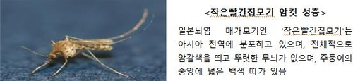 [질병관리청 제공]