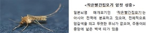 울산서 일본뇌염 매개 모기 발견…지난해보다 21일 빨라